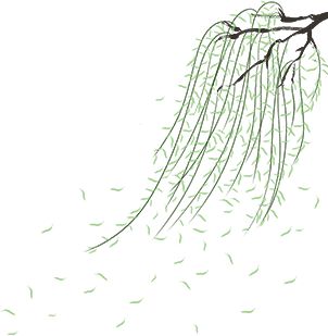 火狐电竞春游江淮 在198公里巢湖黄金湖岸线留“住”春光(图11)
