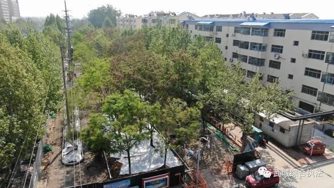 火狐电竞城市更精致！德州这一区域新增多处绿化公园(图4)