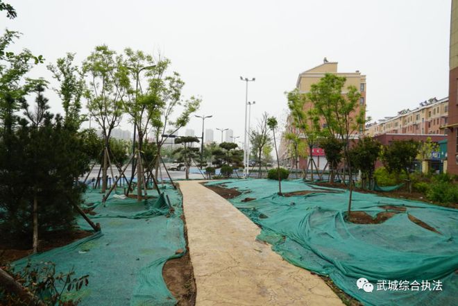 火狐电竞城市更精致！德州这一区域新增多处绿化公园(图8)