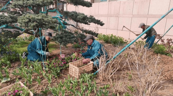 九龙湾公园管理服务中心：正是春季好风光绿化养护正当时火狐电竞(图2)
