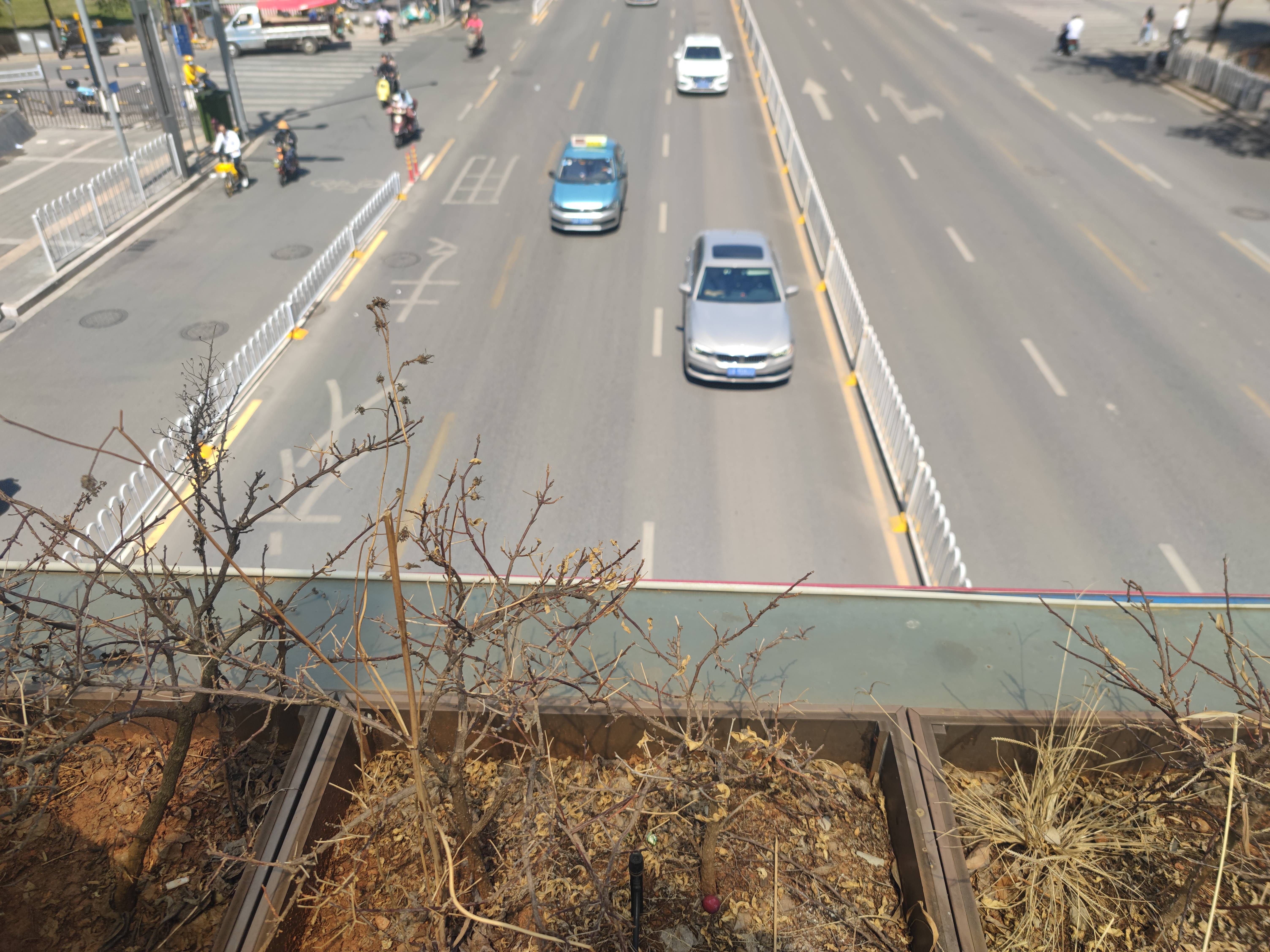 曝光！干枯300余株谁来救救昆明这座人行天桥上的火狐电竞绿化植物(图2)