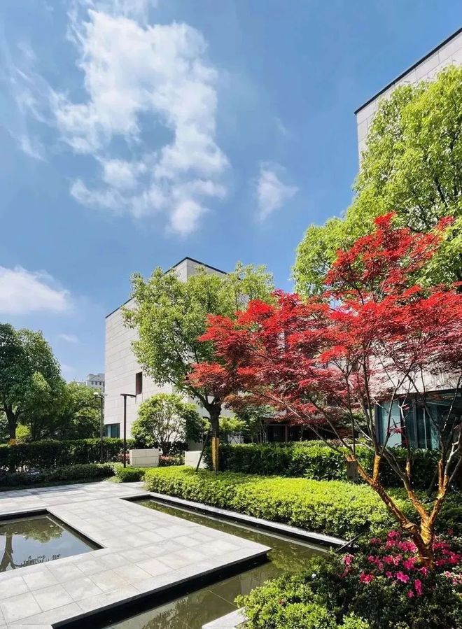 上海天火狐电竞钜公馆开发商发布（闵行龙湖天钜别墅）专业网站价格优惠(图3)