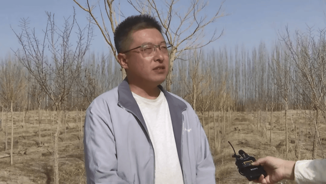 阿克塞火狐电竞：不负春季好时光 绿化补植补栽忙(图4)