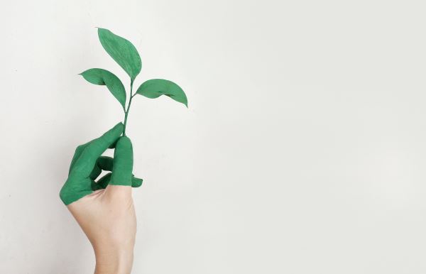 景观绿化设计收费标准(广州校园景观园林绿化设计报价)火狐电竞(图1)