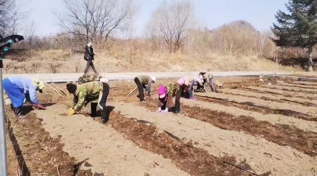 火狐电竞春光无限好 基地育苗忙(图1)