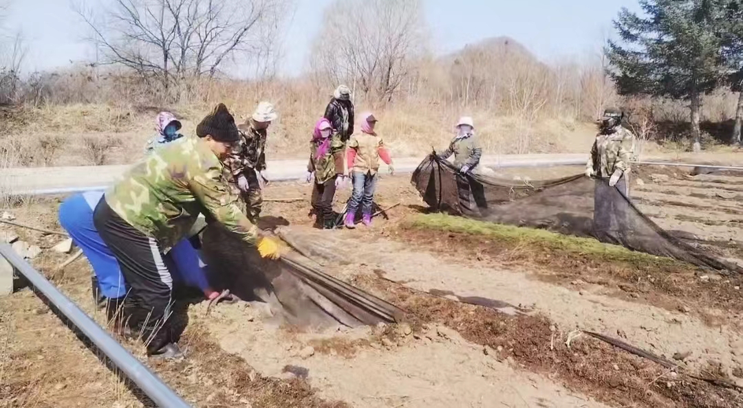 火狐电竞春光无限好 基地育苗忙(图2)