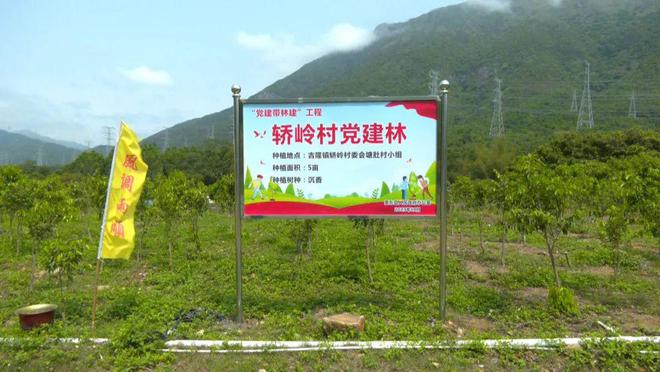 火狐电竞擦亮乡村绿美底色！惠东吉隆镇稳步推进绿化工作(图2)