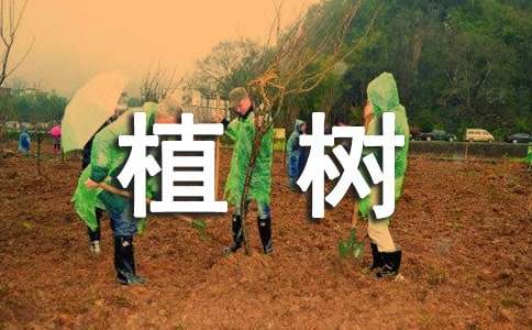 绿火狐电竞化植树方案(图1)