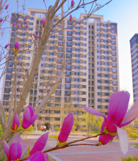 火狐电竞总部基地租房-榆树庄园——全新定义新中产家庭租住生活备受追捧(图2)