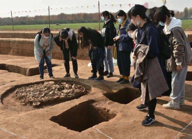 继“生化环材”新的“天坑”专业又来了火狐电竞让985毕业生叫苦连天(图6)
