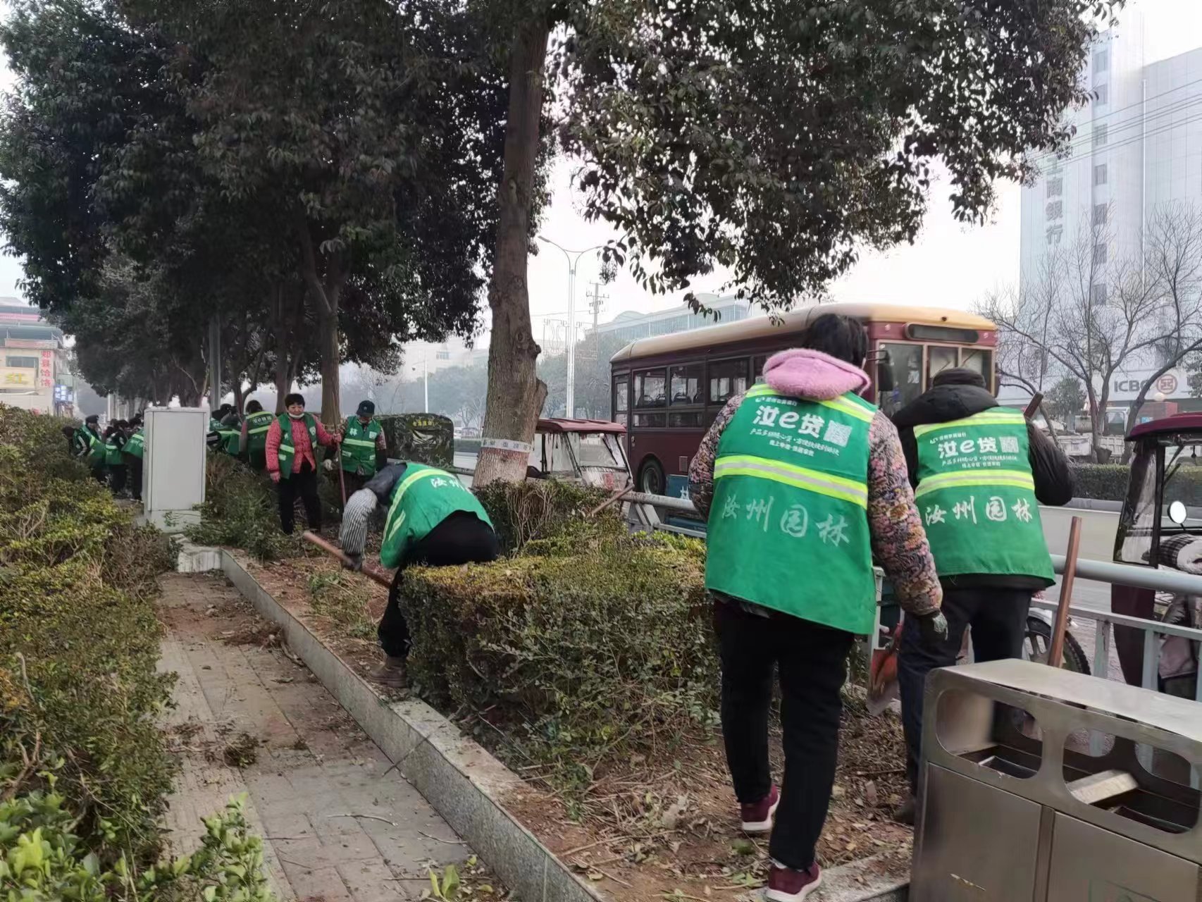 火狐电竞汝州市城市管理局：闹市区护栏内侧绿化带“消失”？原来(图3)