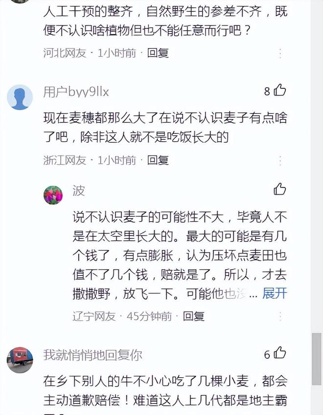 越野车麦田里“兜风”压倒小麦一片引热议！火狐电竞(图2)