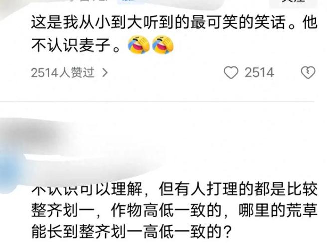越野车麦田里“兜风”压倒小麦一片引热议！火狐电竞(图4)