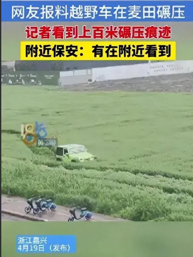 越野车麦田里“兜风”压倒小麦一片引热议！火狐电竞(图5)