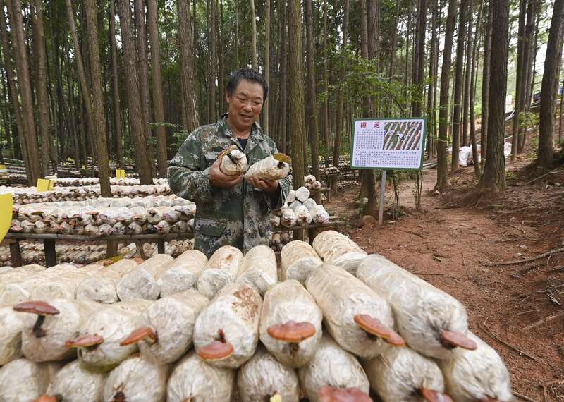 春和景明 跟着写好中国绿色新答卷火狐电竞(图3)