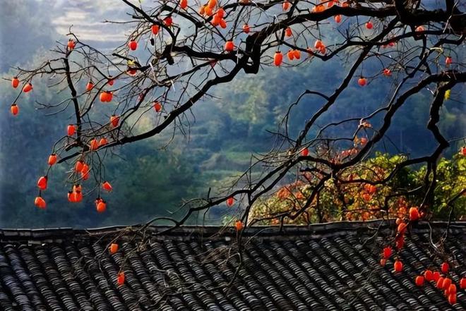 种植花火狐电竞园树木你绝对不能错过的吉利好看种类！(图9)