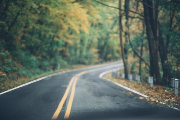 高层住宅火狐电竞绿化(房产绿化率如何计算)(图2)
