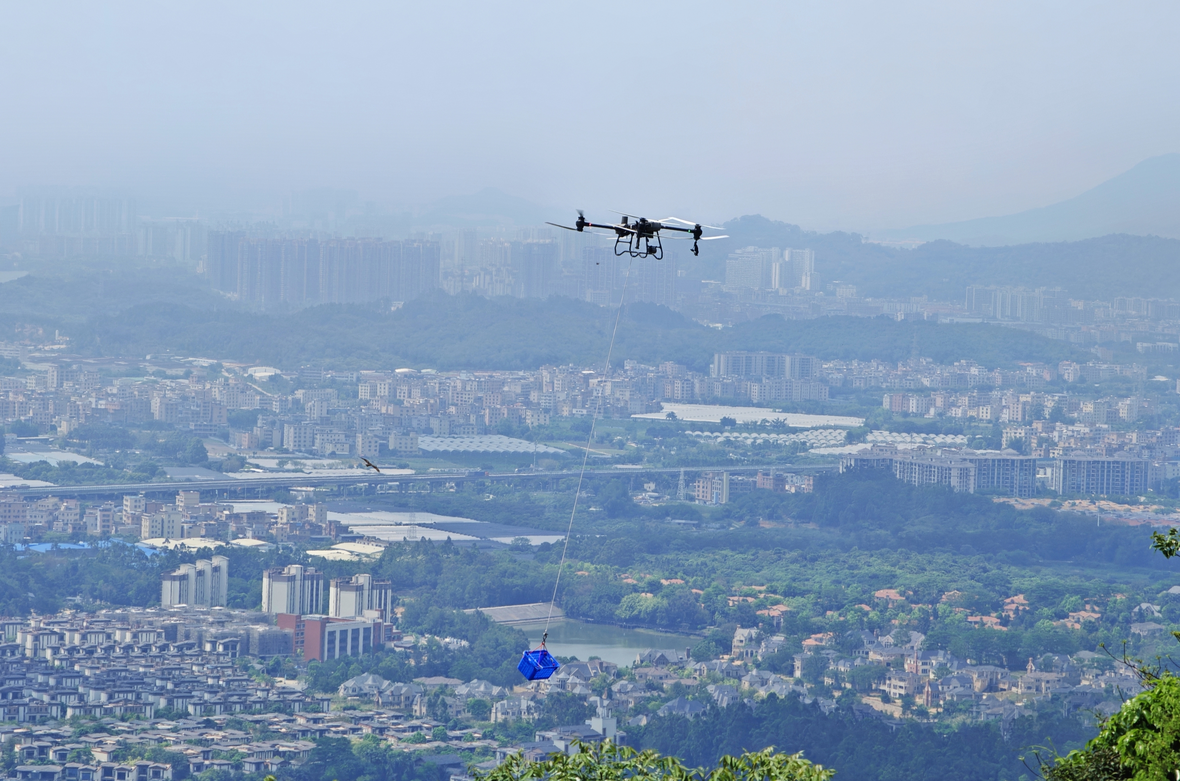 广州无人机“上岗”山地造林花都、从化已运40万株苗木火狐电竞(图5)