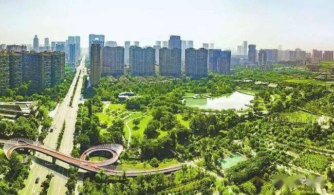 火狐电竞【创建国家卫生城市】必读！园林绿化-评分标准释义(图2)
