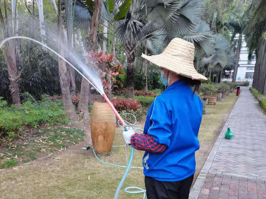 火狐电竞小区全年的绿化养护工作内容(图1)