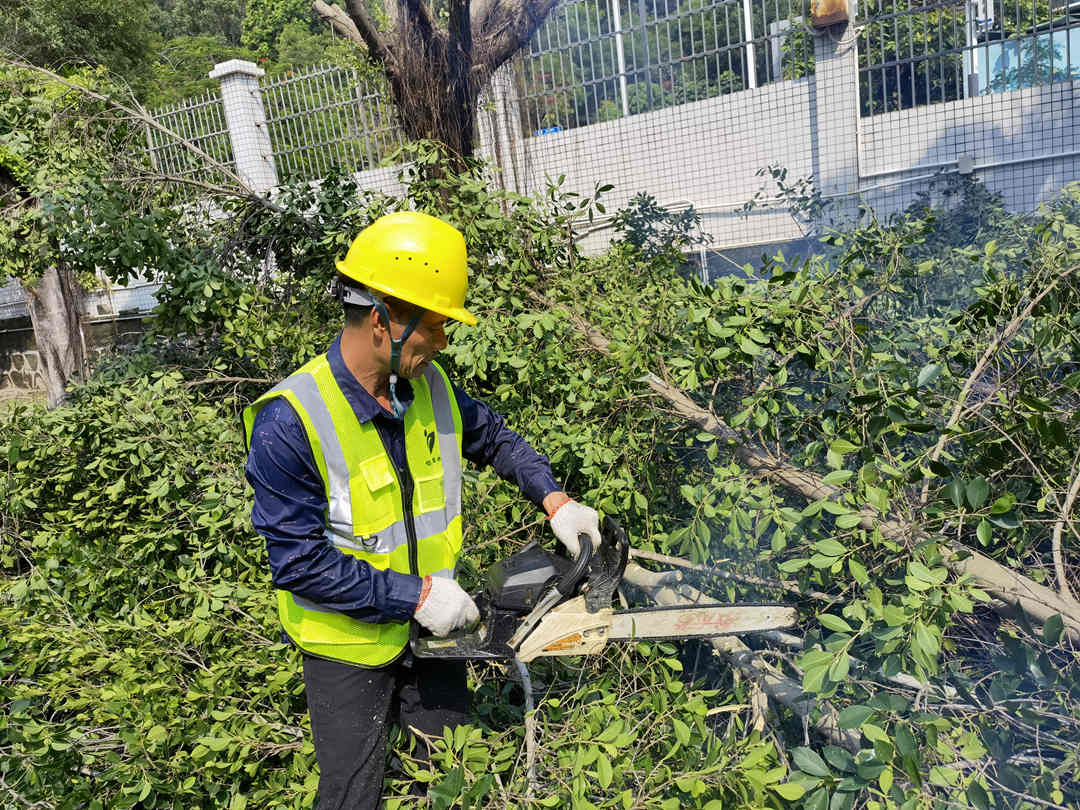 火狐电竞小区全年的绿化养护工作内容(图6)